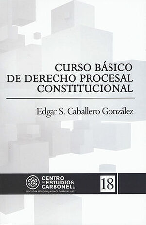 [9786078493142] CURSO BÀSICO DE DERECHO PROCESAL CONSTITUCIONAL #18 - 1.ª ED. 2017
