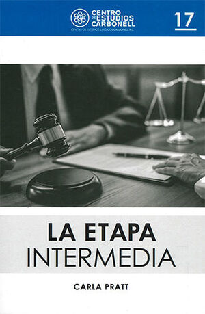 [9786078493449] ETAPA INTERMEDIA, LA #17 - 1.ª ED. 2020