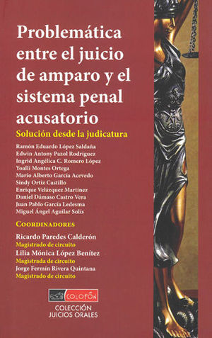 [9786078513918] PROBLEMÁTICA ENTRE EL JUICIO DE AMPARO Y EL SISTEMA PENAL ACUSATORIO