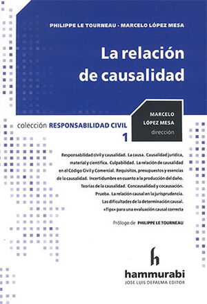 [9789878056678] RELACIÓN DE CAUSALIDAD, LA - 1.ª ED. 2024