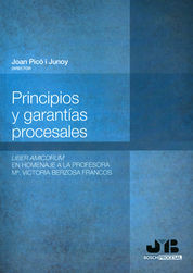 [9788494130496] PRINCIPIOS Y GARANTÍAS PROCESALES.