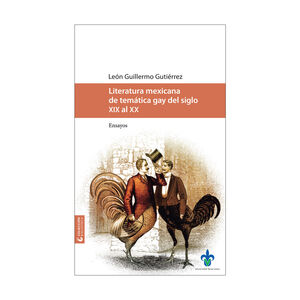 [9786075024745] LITERATURA MEXICANA DE TEMÁTICA GAY DEL SIGLO XIX AL XX - 1.ª ED. 2016