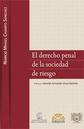 [9786078127610] DERECHO PENAL DE LA SOCIEDAD DE RIESGO, EL - 1.ª ED. 2012