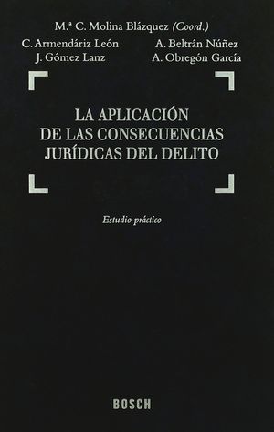 [9788497901253] APLICACIÓN DE LAS CONSECUENCIAS JURÍDICAS DEL DELITO, LA