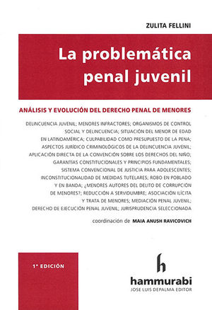 [9789507419935] PROBLEMATICA PENAL JUVENIL