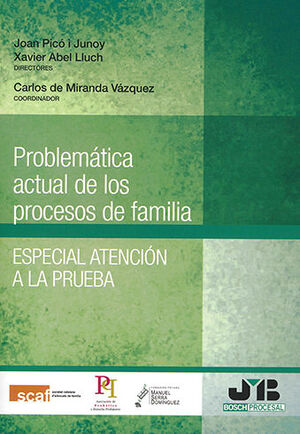 [9788494912337] PROBLEMÁTICA ACTUAL DE LOS PROCESOS DE FAMILIA