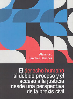 [9786075244037] DERECHO HUMANO AL DEBIDO PROCESO Y EL ACCESO A LA JUSTICIA DESDE UNA PERSPECTIVA DE LA PRAXIS CIVIL, EL - 1.ª ED. 2020