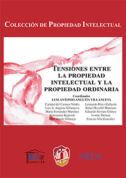 [9788429019506] TENSIONES ENTRE LA PROPIEDAD INTELECTUAL Y LA PROPIEDAD ORDINARIA