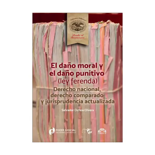 [9786078875627] DAÑO MORAL Y DAÑO PUNITIVO (LEY FERENDA) - 1.ª ED. 2024