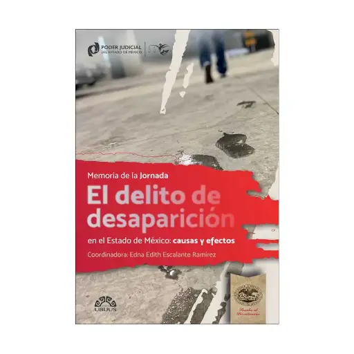 [9786078875641] DELITO DE DESAPARICIÓN EN EL ESTADO DE MÉXICO, EL: CAUSAS Y EFECTOS - 1.ª ED. 2024