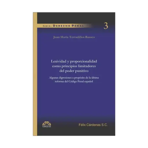 [9786078127160] LESIVIDAD Y PROPORCIONALIDAD COMO PRINCIPIOS LIMITADORES DEL PODER PUNITIVO - 1.ª ED. 2011